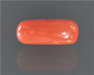 Natural Coral  7.99RTS-27564